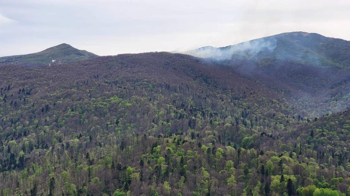 Pożar na terenie Bieszczadzkiego Parku Narodowego. Do akcji skierowano drony