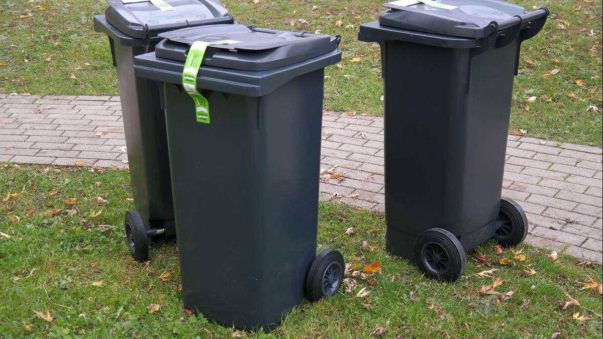 Gdzie wyrzucać fusy i torebki po herbacie? Odpowiedź wcale nie jest oczywista wiadomości,aktualności,Polsat News Gdzie wyrzucać fusy i torebki po herbacie? Odpowiedź wcale nie jest oczywista