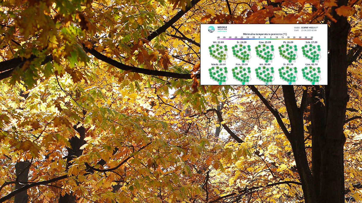 Jesienna aura coraz bliżej. Temperatura spadnie, będą też przymrozki
