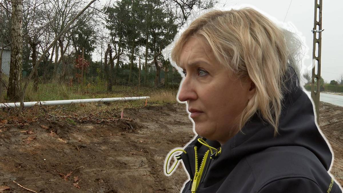 Usunęli kilkadziesiąt drzew. Wszystko z powodu przystanku