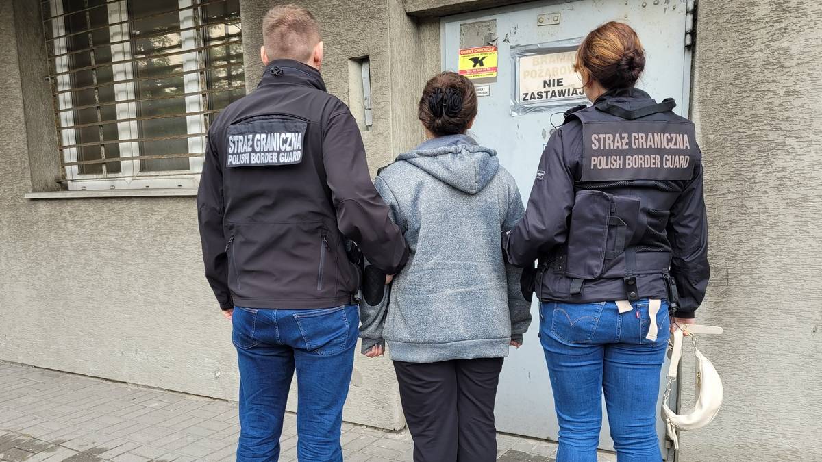 Legalizowali pobyt cudzoziemców wbrew prawu. Namierzyła ich Straż Graniczna