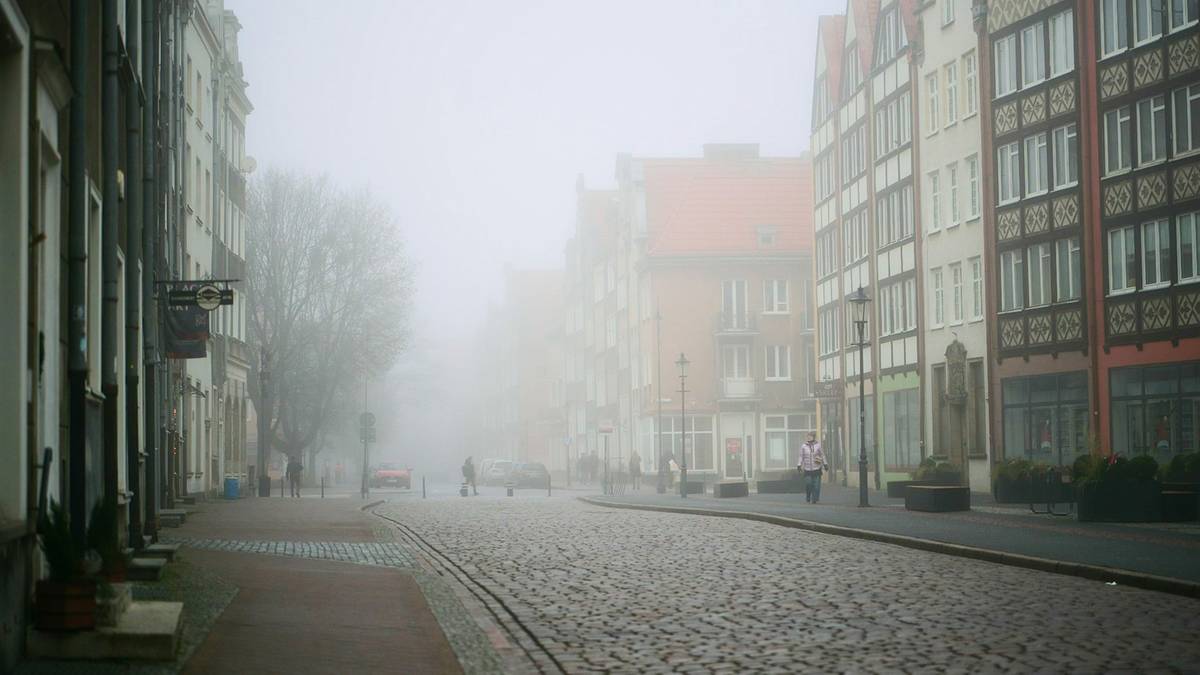Mgły, szadź i utrudnienia na drogach. Pogoda we wtorek i środę