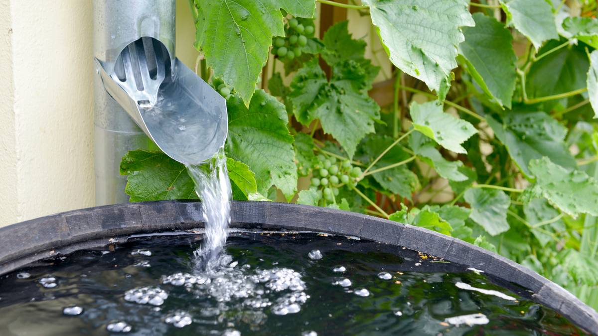 Zbiorniki na deszczówkę to ekologiczne i ekonomiczne rozwiązanie