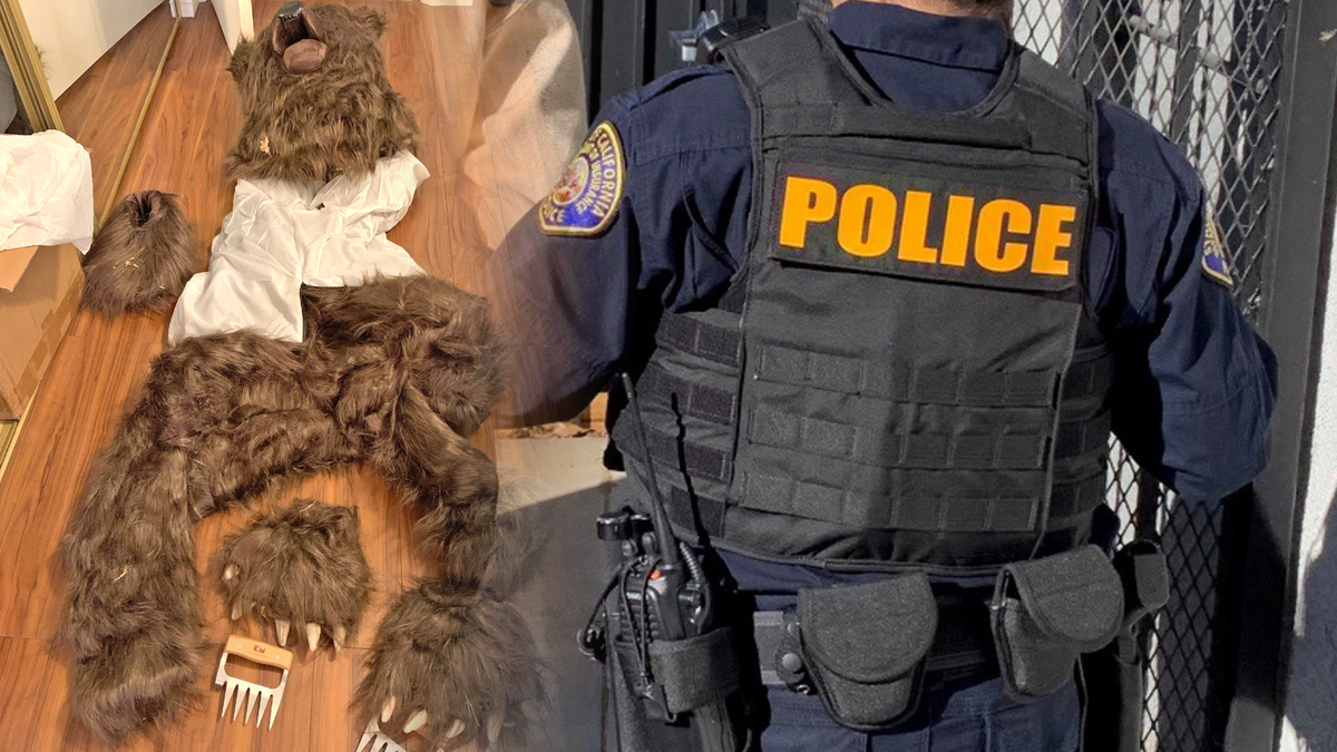 Przebierali się za niedźwiedzia i zniszczyli auta. Wyłudzili pieniądze