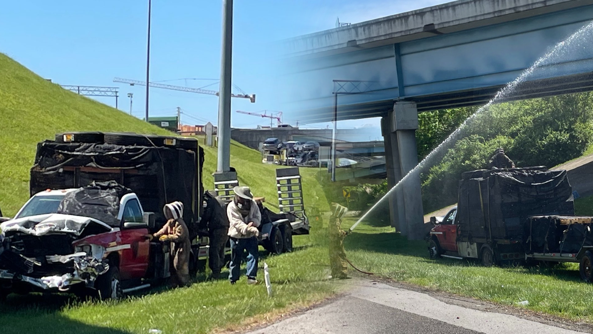 Przewozili pszczoły, kiedy rozbiła się ciężarówka. Milion owadów sparaliżował o autostradę