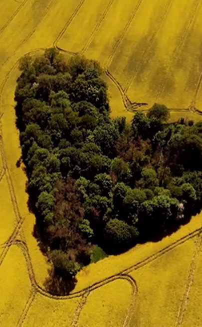 #ProgramCzystaPolska