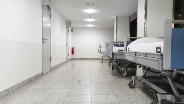 Wirus Borna atakuje w Niemczech. Jest śmiertelnie niebezpieczny dla ludzi