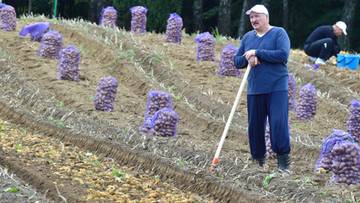 Łukaszenka zaskoczył prezentami. Przywódcy dostali worki ziemniaków