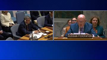 Rosyjska propaganda w ONZ. "Polityczny clickbait"