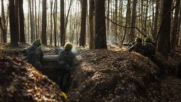 Grzybiarz czy szpieg? Incydent na poligonie w Niemczech