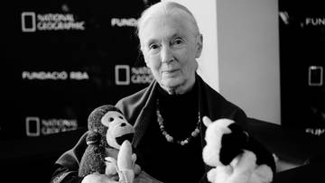 Nie żyje Jane Goodall. Świat żegna jedną z najsłynniejszych badaczek