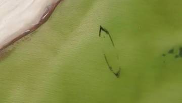 Bałtyk odsłonił wrak. Zagadkowy statek na dnie morza