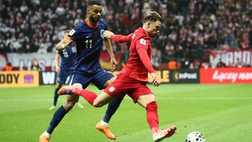 Koniec meczu Polska - Holandia. Polacy walczyli do końca, sytuacja w grupie niepewna