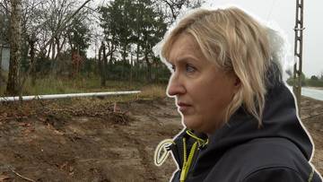 Usunęli kilkadziesiąt drzew. Wszystko z powodu przystanku