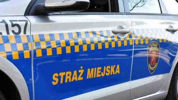 Kontrole CEEB w całej Polsce. Ryzyko wysokiej kary za brak wpisu