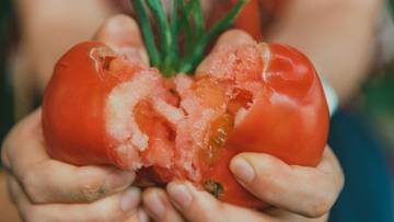 Kto powinien unikać pomidorów? W tych przypadkach mogą szkodzić