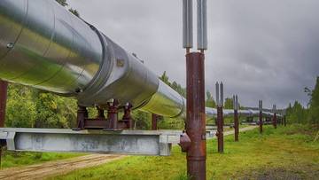 Ukraina odpowiada Węgrom i Słowacji. "Ultimatum należy stawiać Kremlowi"