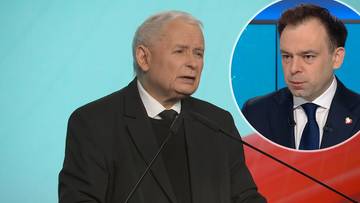 "Puste frazesy i paranoje". Domański o słowach Kaczyńskiego na temat SAFE